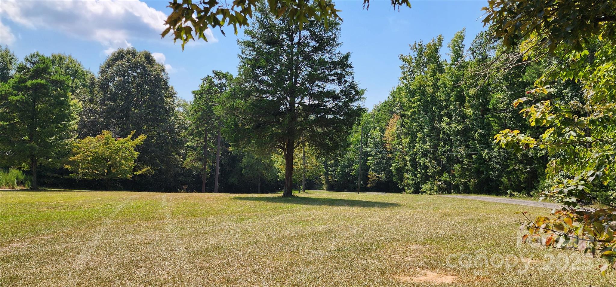 1115 John Short Road Indian Land, SC 29707 - Photo 38 of 48 a view of swimming pool and trees