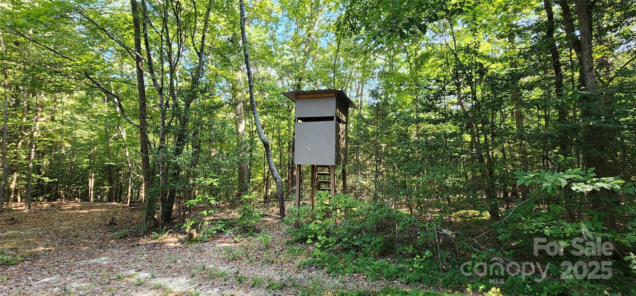 1115 John Short Road Indian Land, SC 29707 - Photo 40 of 48 a view of a house with a tree