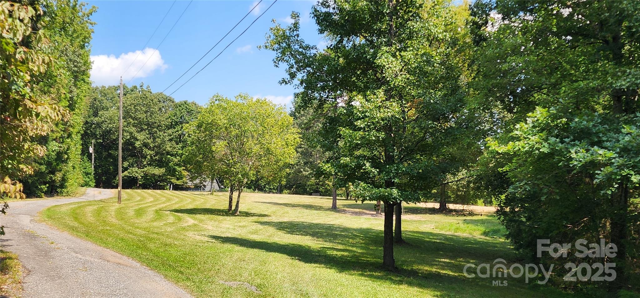 1115 John Short Road Indian Land, SC 29707 - Photo 6 of 48 a swimming pool view