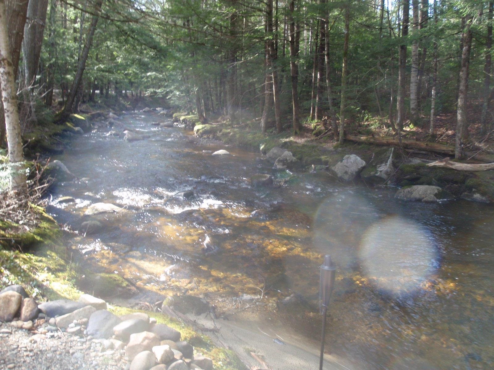 159 Millbrook Road Grafton, NH 03240 - Photo 14 of 23