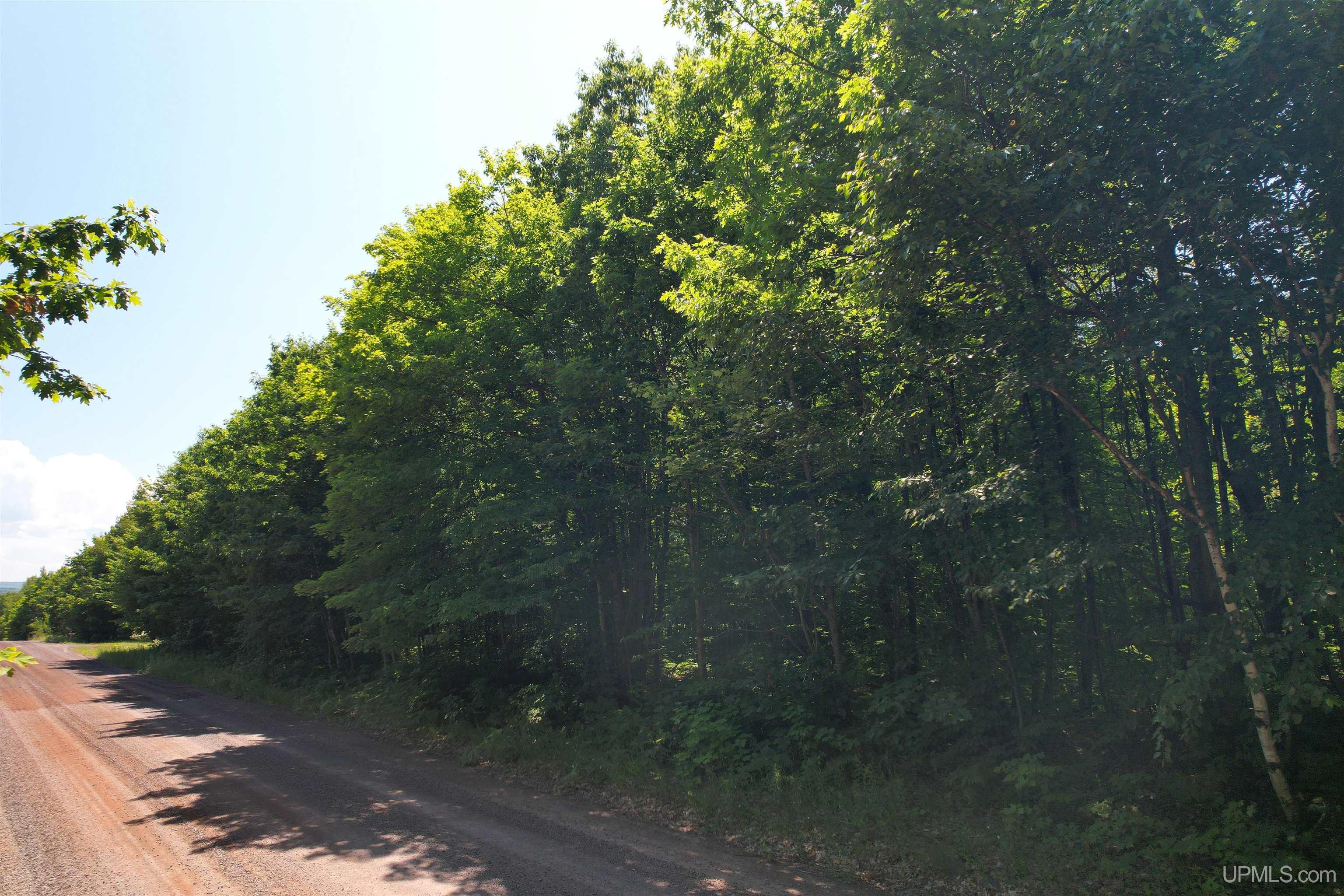 Tbd Superior Shores Road Atlantic Mine, MI 49905 - Photo 24 of 27