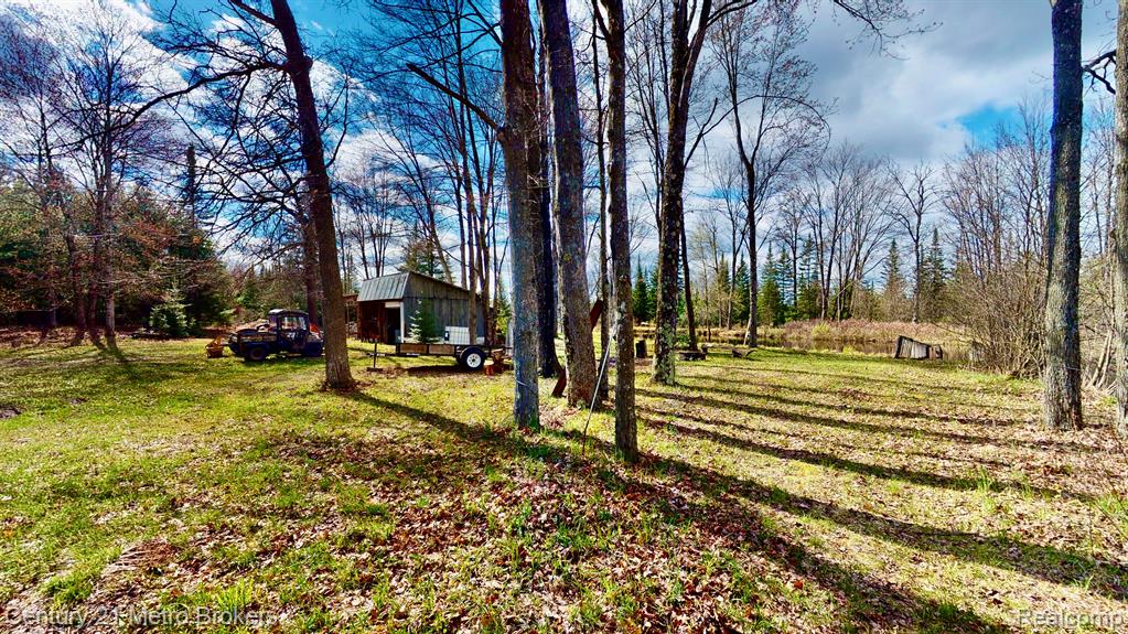 0 East Sugar River Road Alger, MI 48610 - Photo 49 of 50