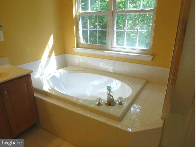 120 Addison Court Chester, MD 21619 - Photo 24 of 30 Bath (Master)
