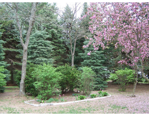 49 Burnham Road Billerica, MA 01862 - Photo 13 of 14 Gallery Image 13