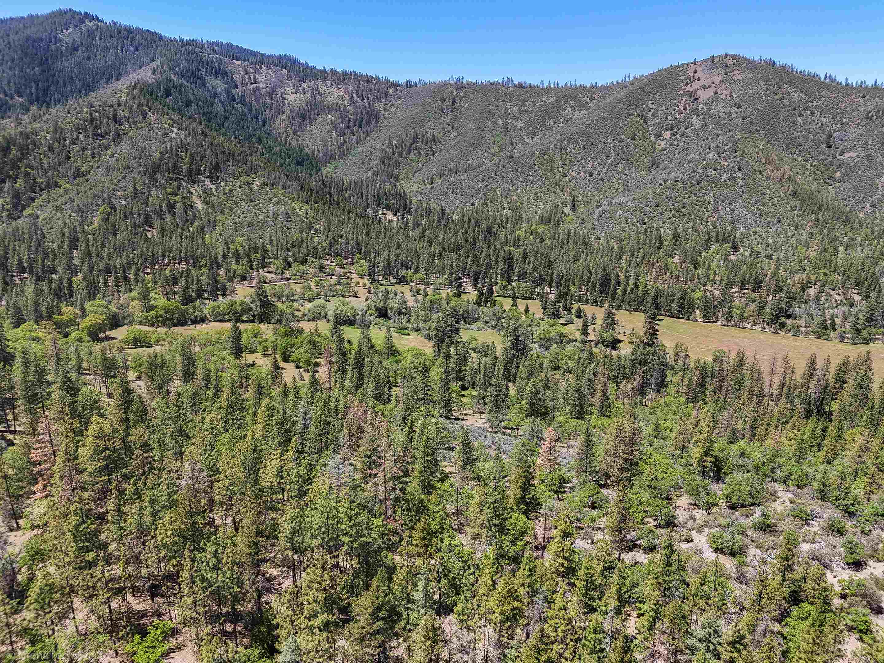 7226 Schulmeyer Gulch Road Yreka, CA 96097 - Photo 13 of 40 Gallery Image 13