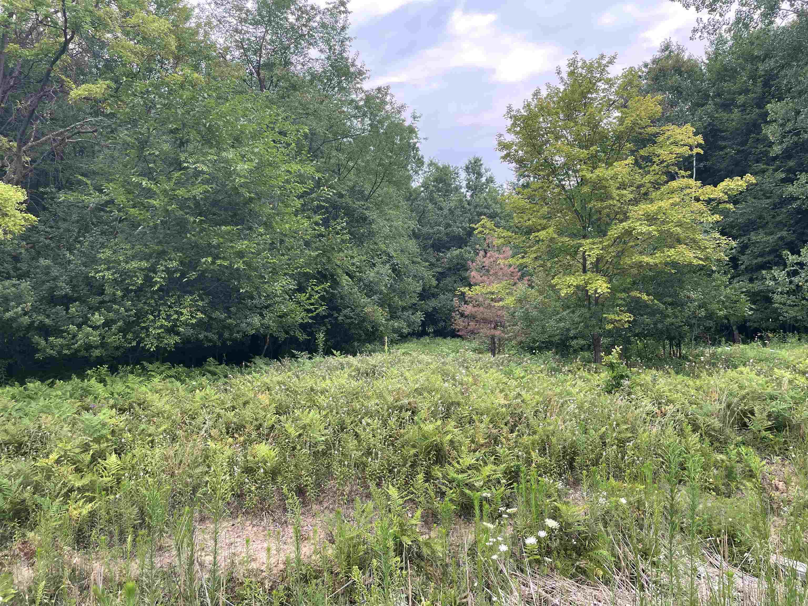 0 Moorish Road Birch Run, MI 48415 - Photo 3 of 5