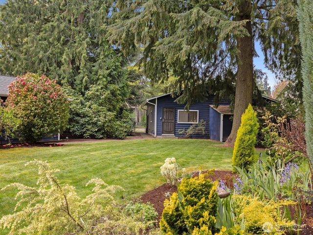 a view of a backyard with large trees