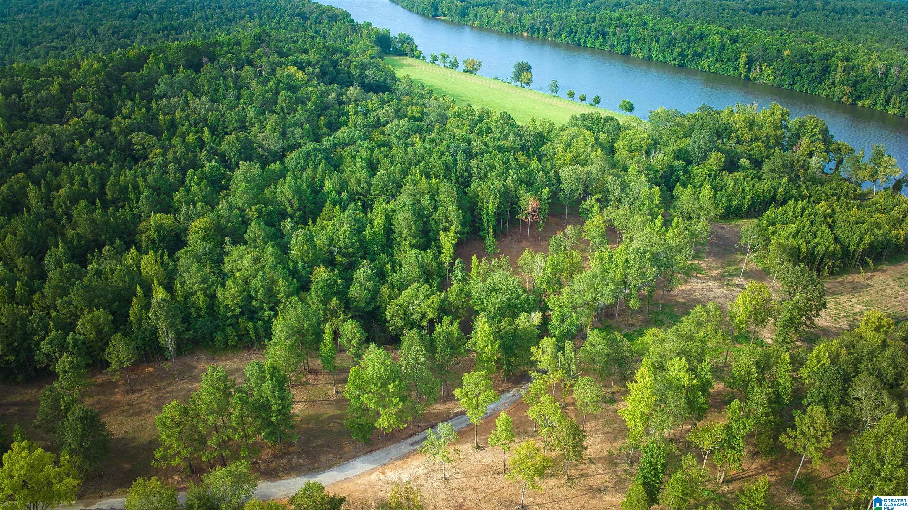 Lot 20 Wester Road, Unit LOT 20 Ragland, AL 35131 - Photo 65 of 68