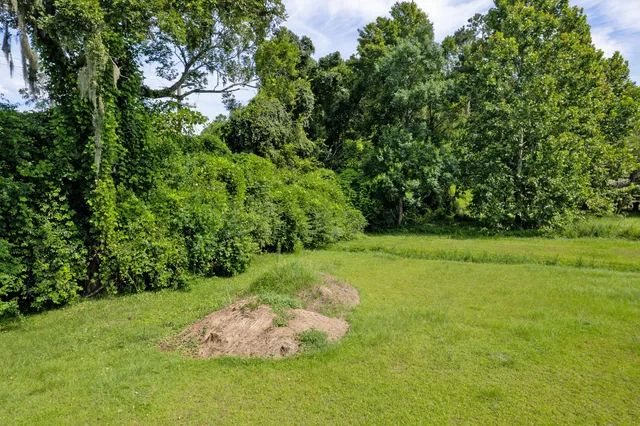 $1,300,000 | 325 West 5th N Street, Summerville, SC 29483