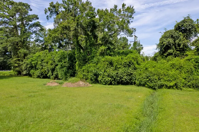 $1,300,000 | 325 West 5th N Street, Summerville, SC 29483