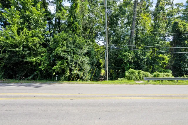 $1,300,000 | 325 West 5th N Street, Summerville, SC 29483