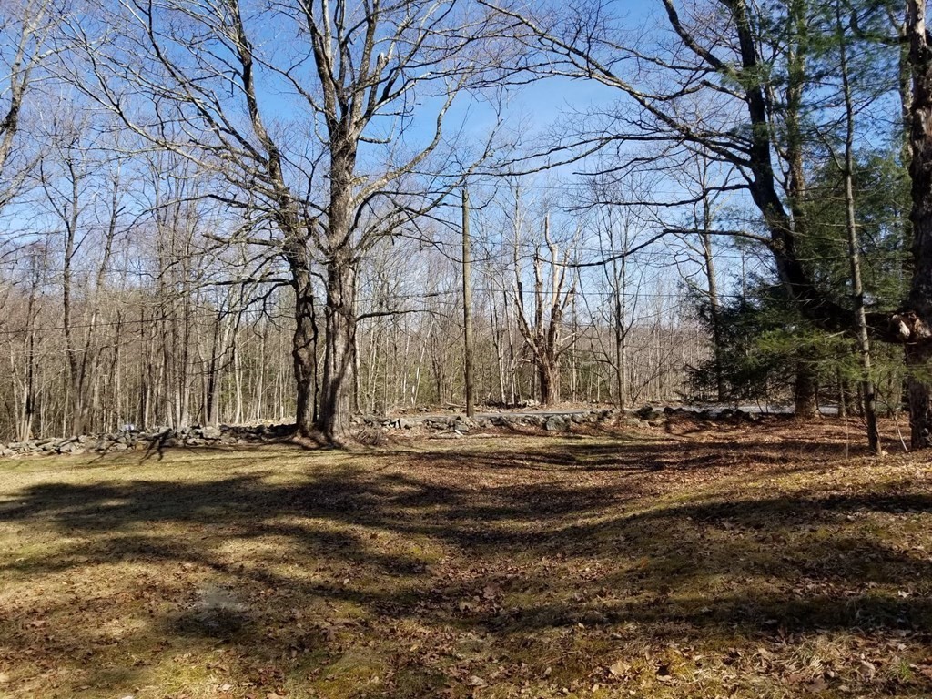 894 Burt Hill Road Tolland, MA 01034 - Photo 2 of 10
