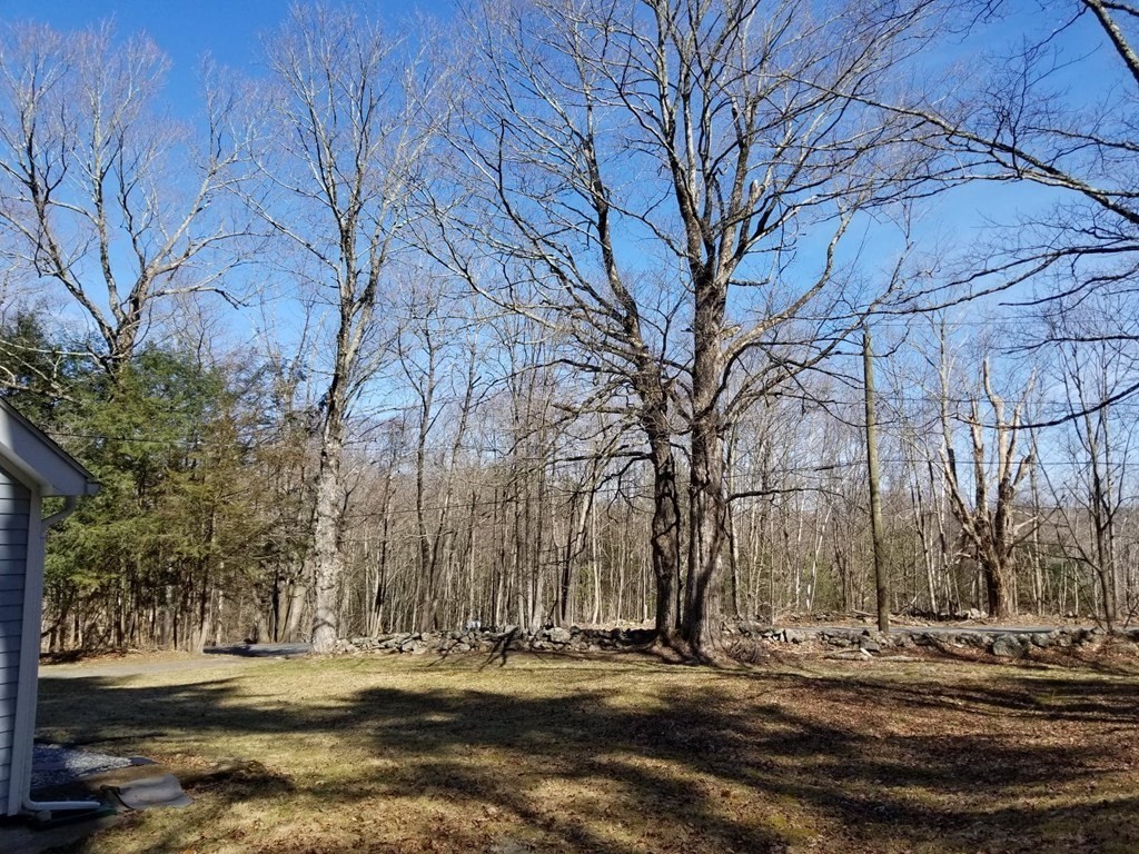 894 Burt Hill Road Tolland, MA 01034 - Photo 3 of 10