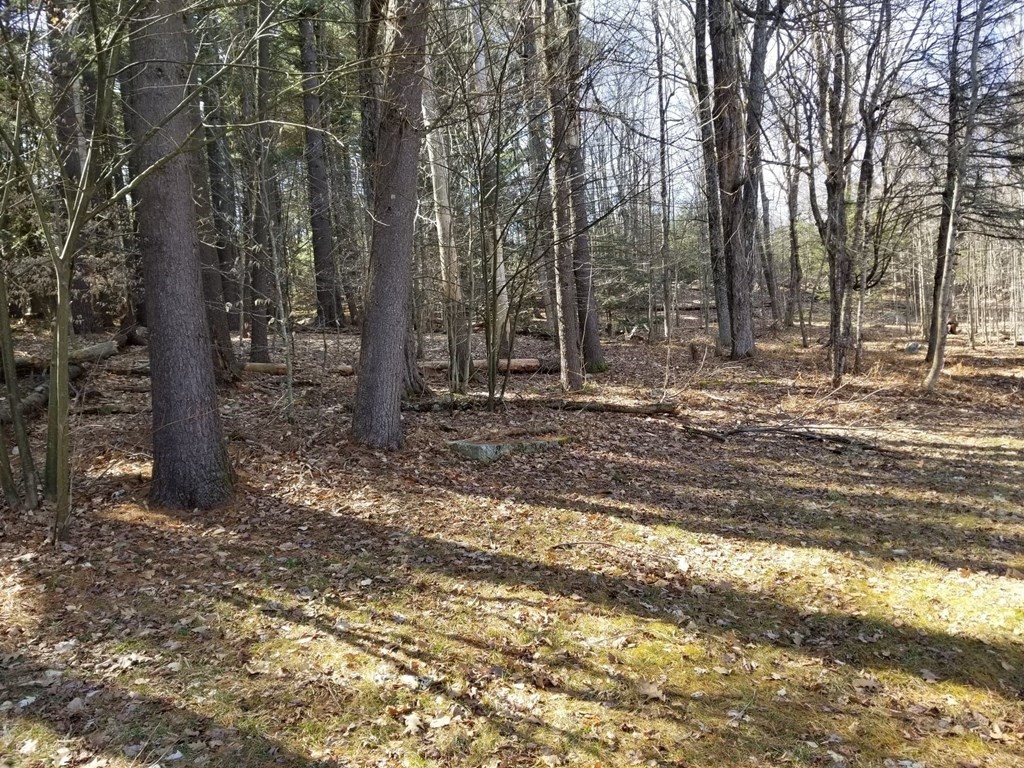 894 Burt Hill Road Tolland, MA 01034 - Photo 4 of 10