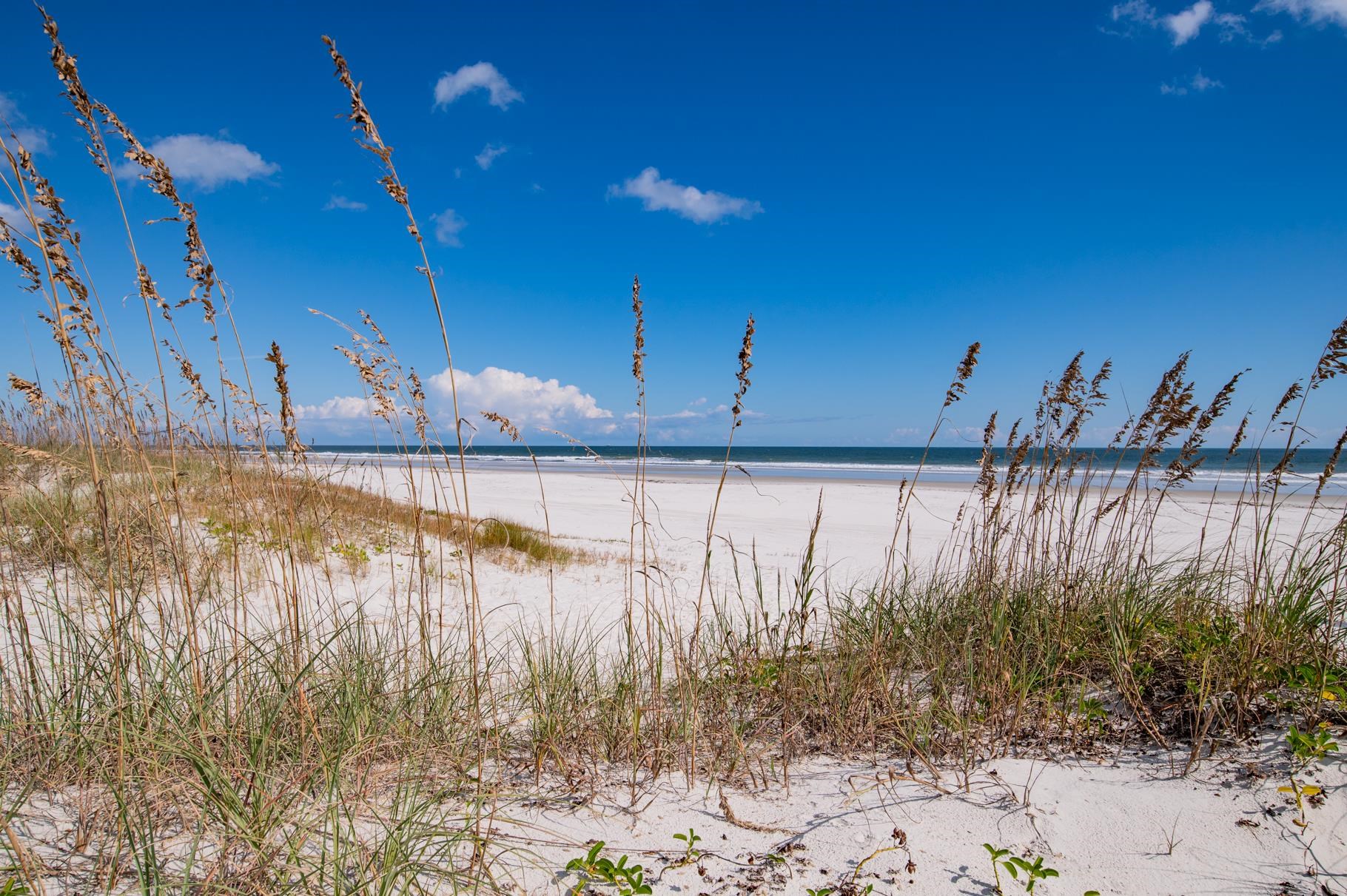 5067 Atlantic View St. Augustine, FL 32080 - Photo 7 of 47 a view of a backyard