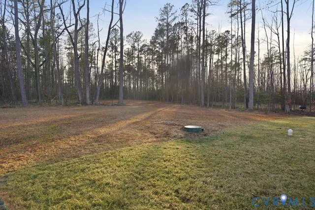 a view of a tree in a yard
