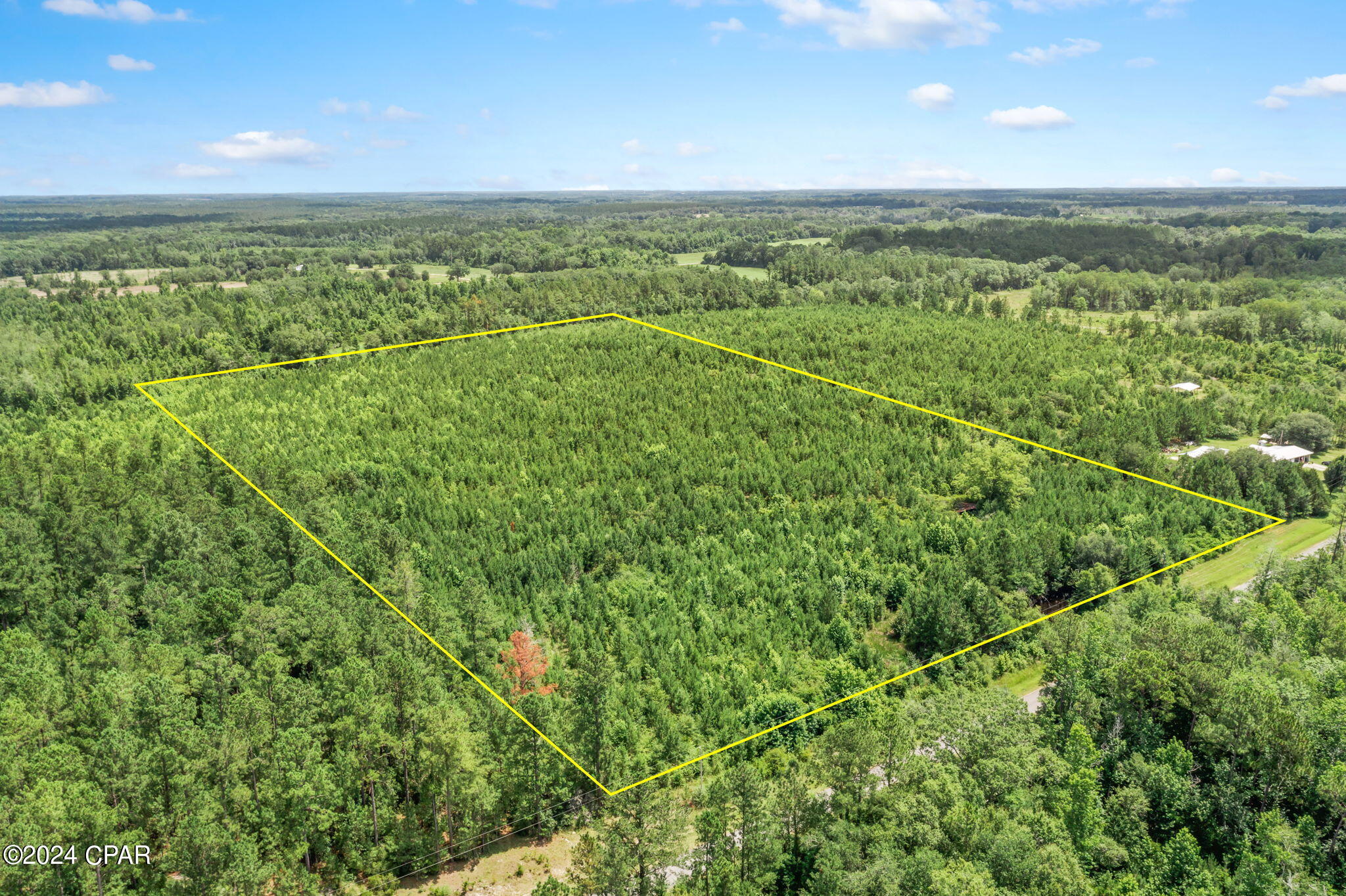 Xxx Reddick Mill Road Graceville, FL 32440 - Photo 2 of 9