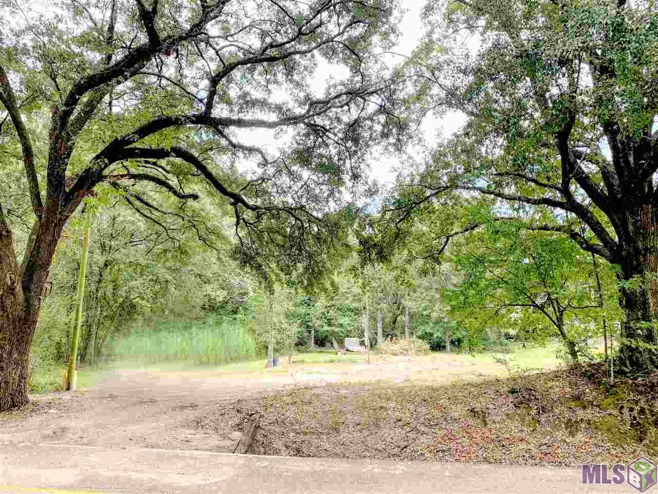 17025 East Swamp Road Prairieville, LA 70769 - Photo 1 of 3 Gallery Image 1