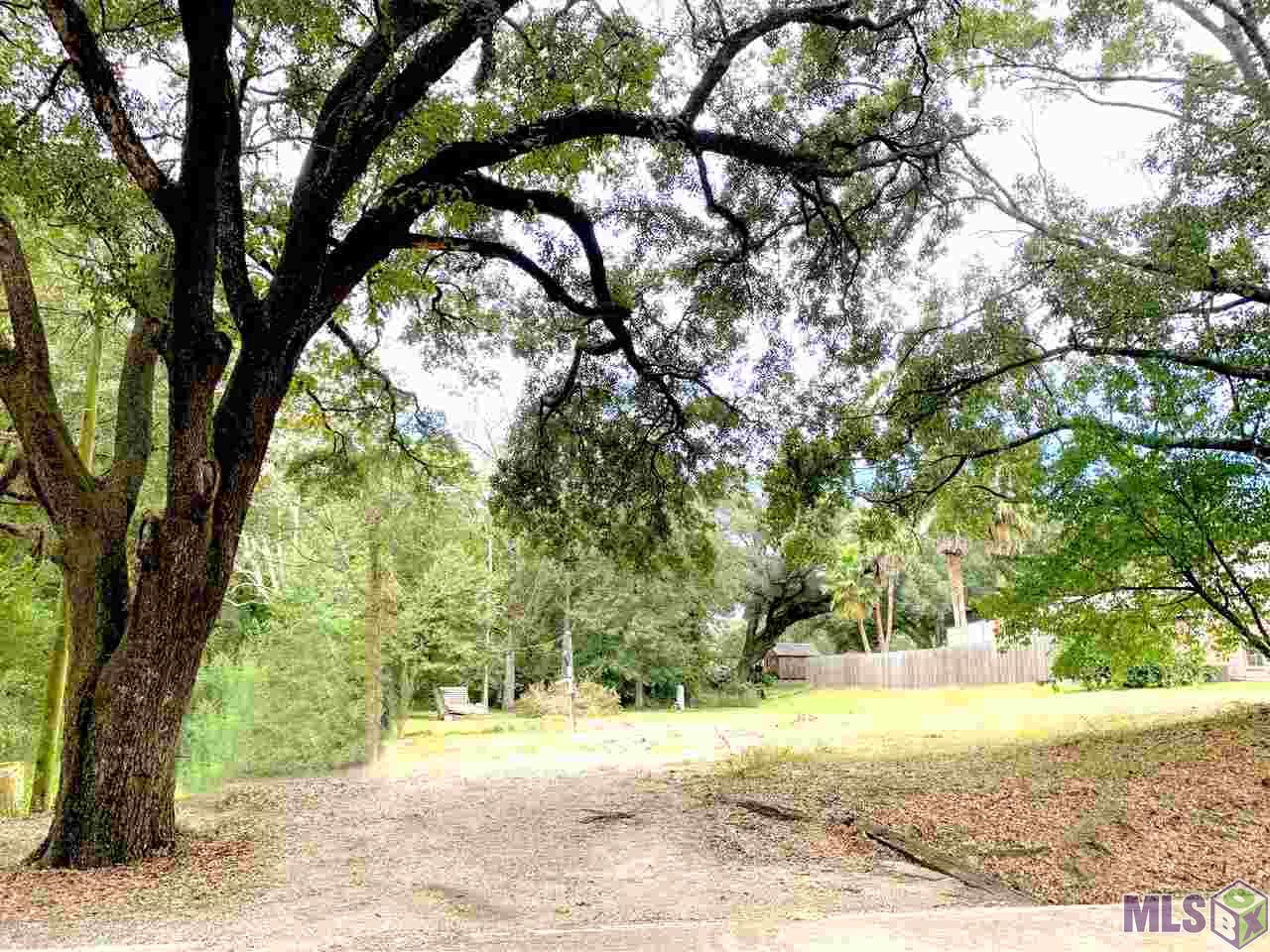 17025 East Swamp Road Prairieville, LA 70769 - Photo 3 of 3 Gallery Image 3
