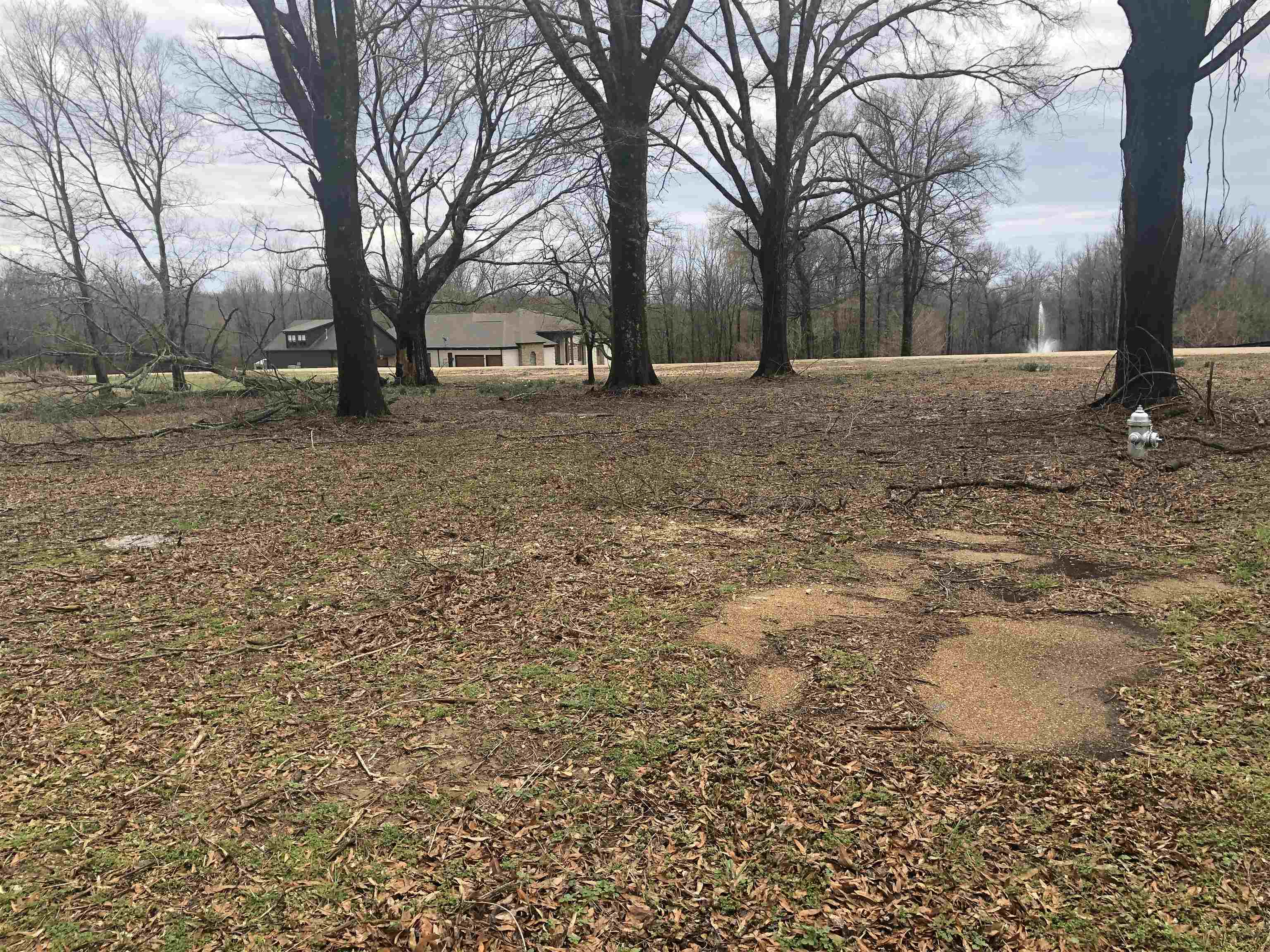 0 West Stewart Road Lakeland, TN 38002 - Photo 2 of 3