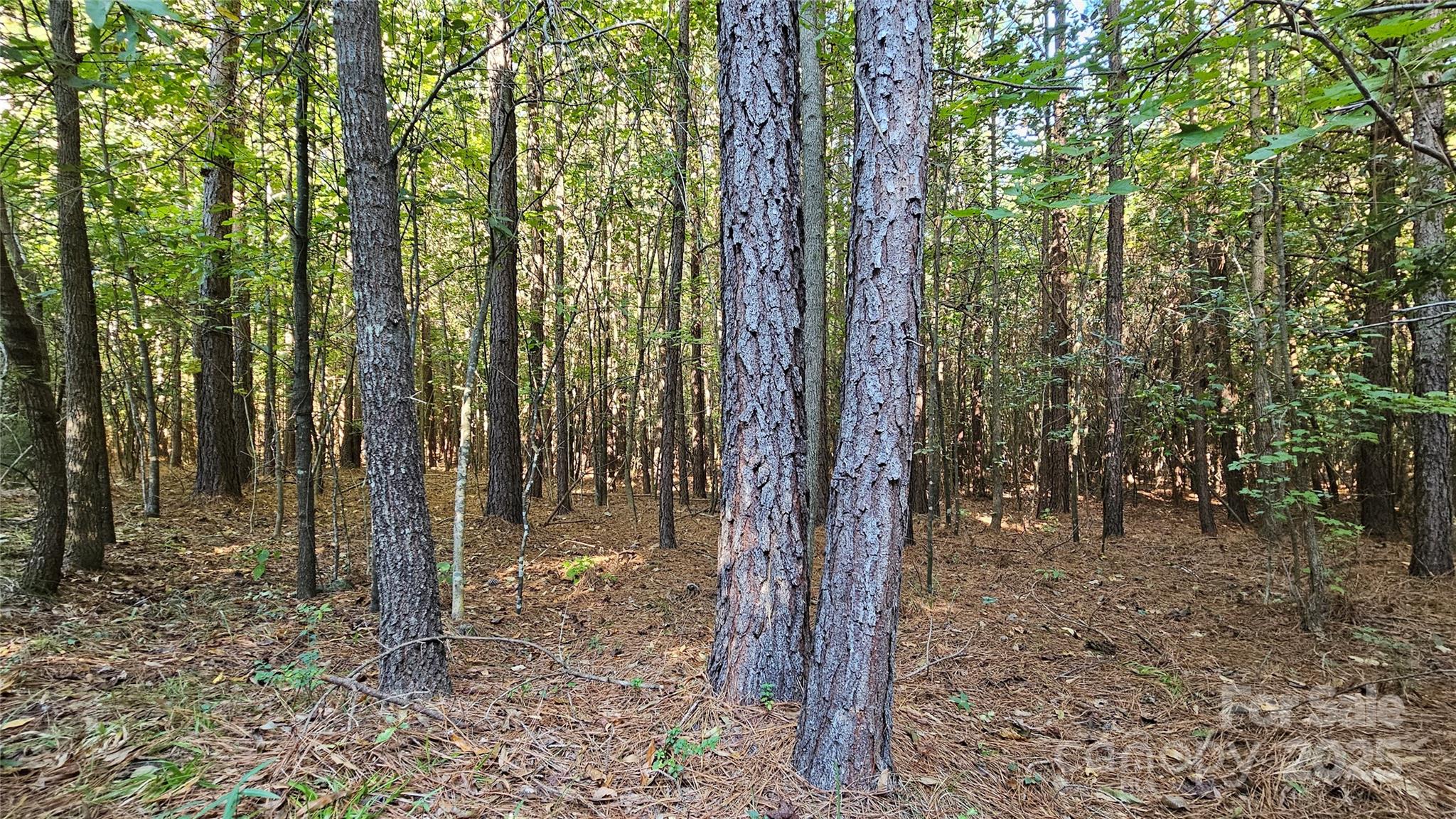 10130 Reed Mine Road Midland, NC 28107 - Photo 22 of 29