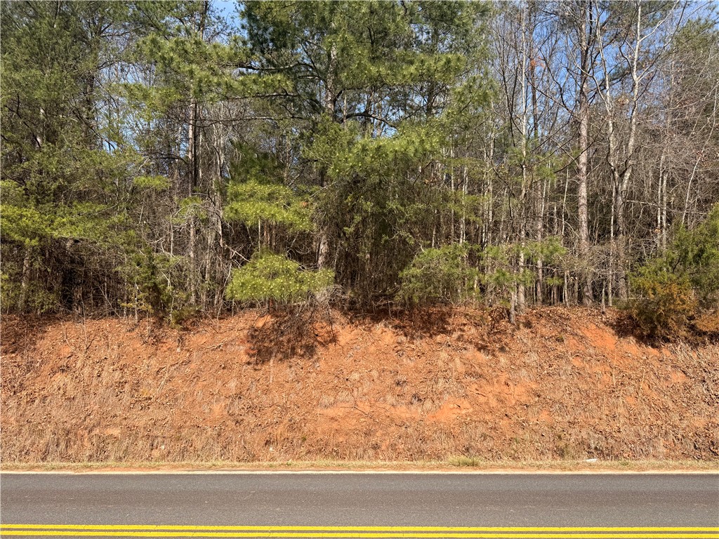 0 South Retreat Road Westminster, SC 29693 - Photo 3 of 3 This undeveloped land parcel offers abundant trees, perfect for a private retreat.