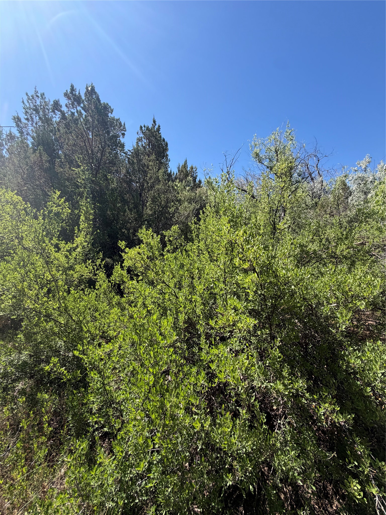 7 C Rancho De Shama, Unit B Cerrillos, NM 87010 - Photo 20 of 26