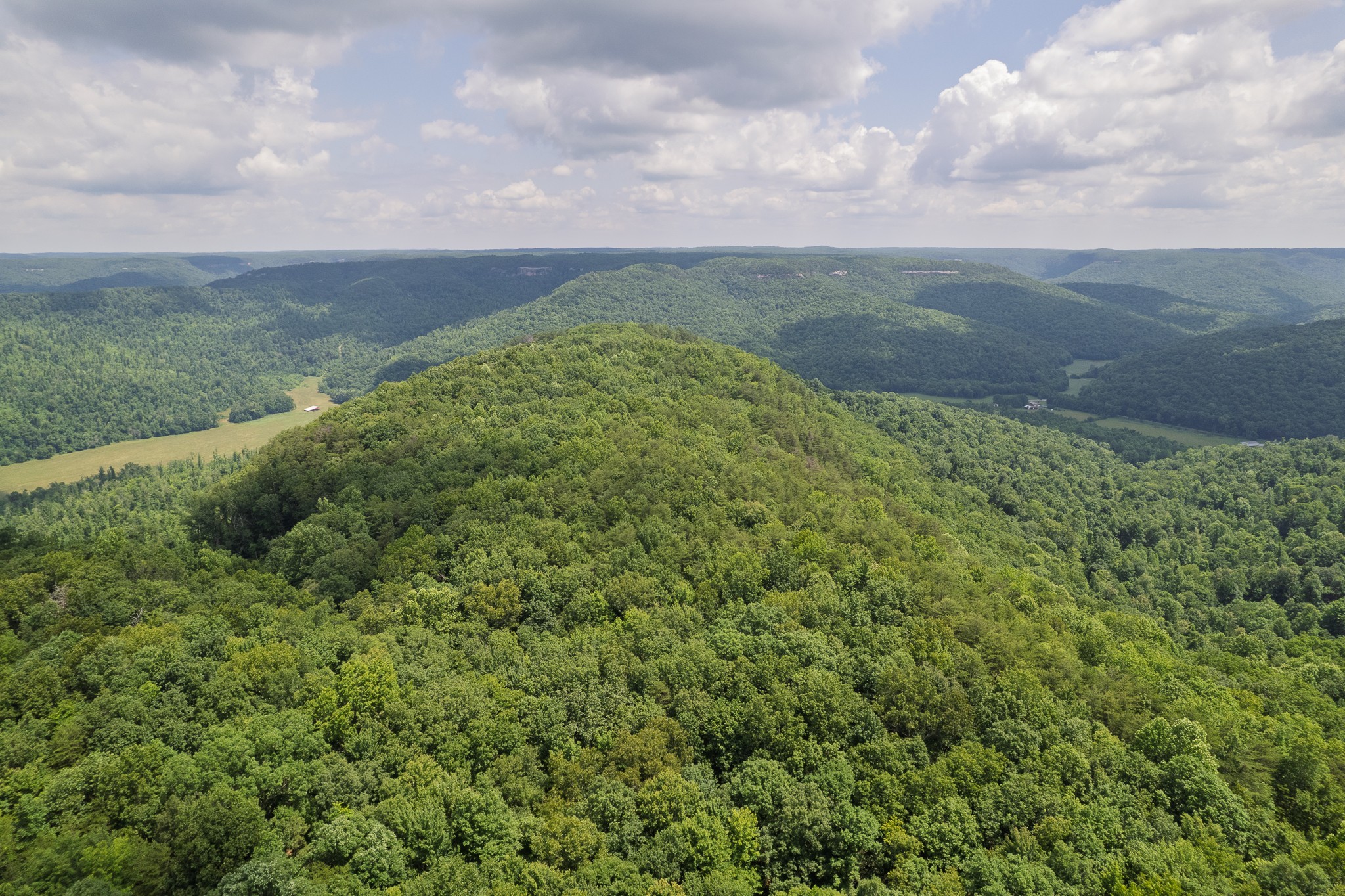 0 Flat Rock Road Jamestown, TN 38556 - Photo 3 of 20