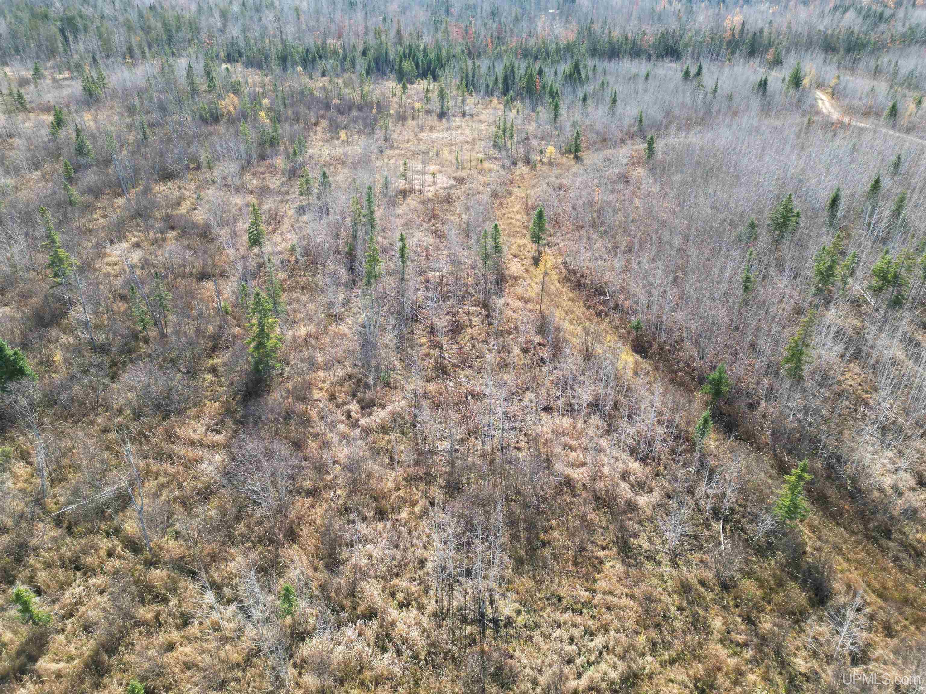 27.5 Rd 28 Acres Trail Gladstone, MI 49837 - Photo 9 of 24