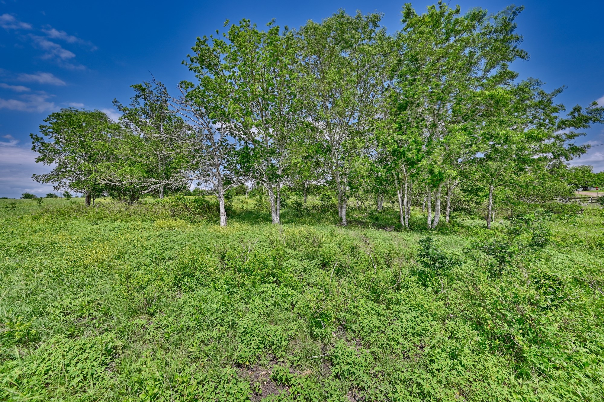 0 School Road New Ulm, TX 78950 - Photo 12 of 13