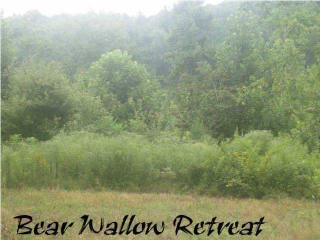 13 McCarver Loop Road Dunlap, TN 37327 - Photo 4 of 4 Additional Photo