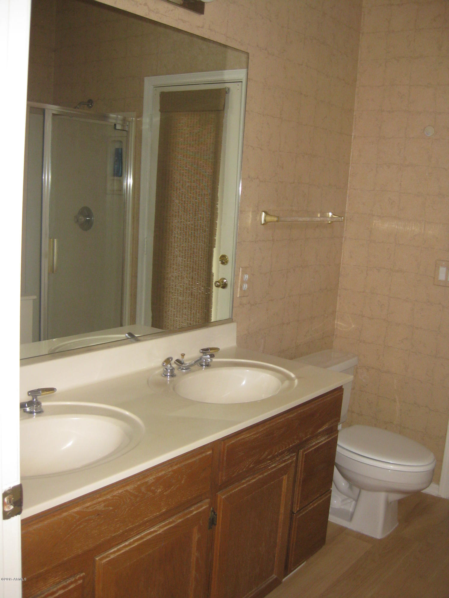 3349 East Long Lake Road Phoenix, AZ 85048 - Photo 5 of 5 Master bathroom