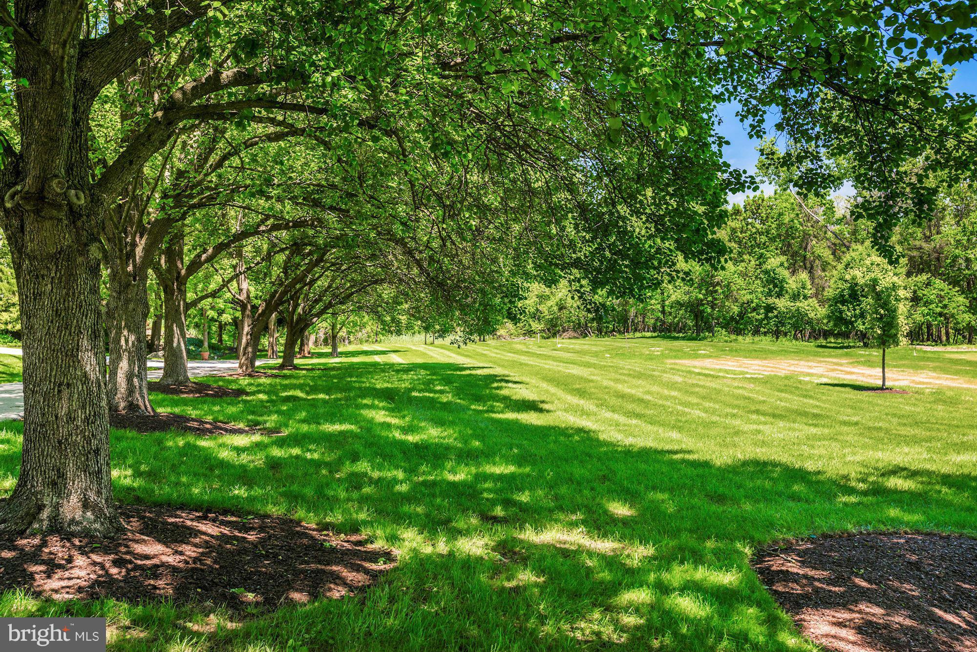 2410 Stone Mill Road Baltimore, MD 21208 - Photo 29 of 30 Professionally Manicured Lawn