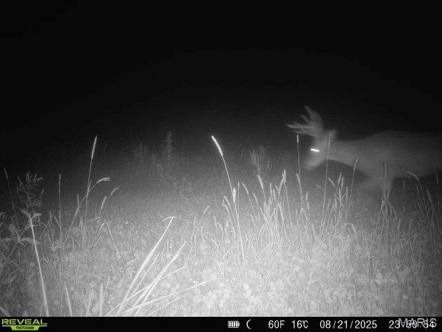 0 Sand Creek Bottom Road Greentop, MO 63546 - Photo 23 of 52