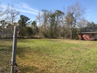 2478 Luke Rivers Road McIntosh, AL 36553 - Photo 3 of 22 Looking to South