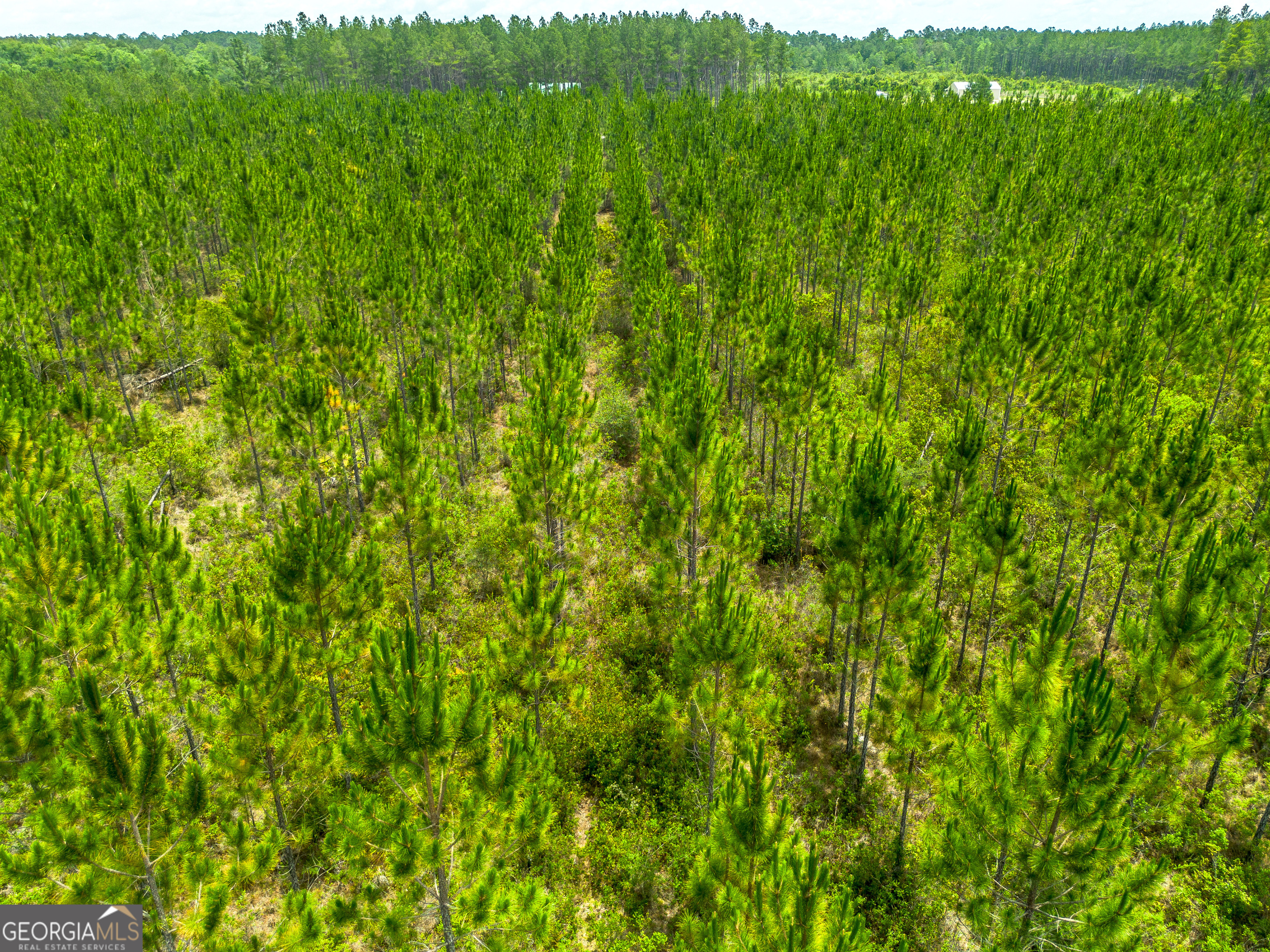 Lot 120 South Farms Edge Road Manor, GA 31550 - Photo 7 of 12