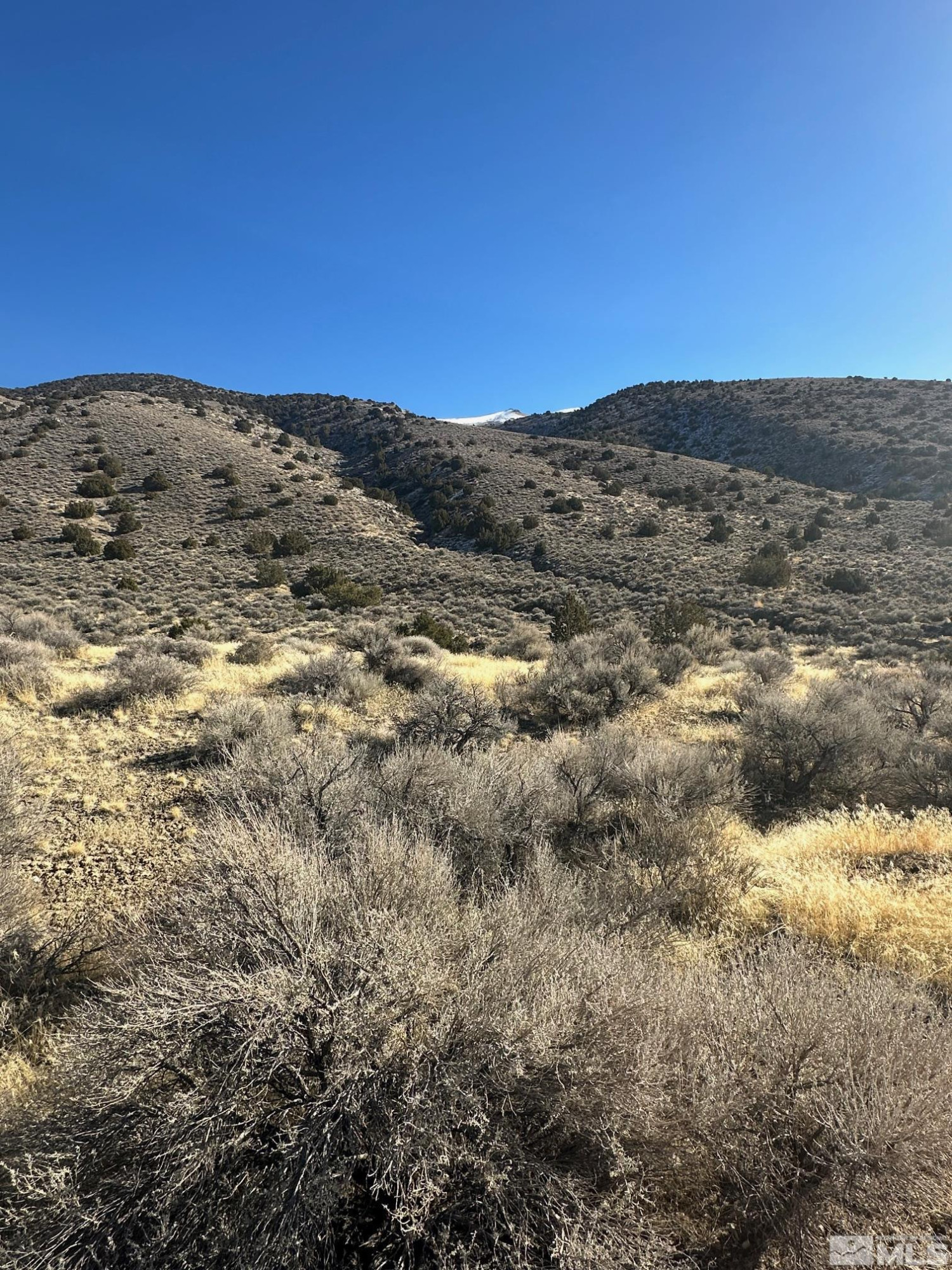 25500 Ramsey Road Imlay, NV 89418 - Photo 4 of 7 a view of mountain