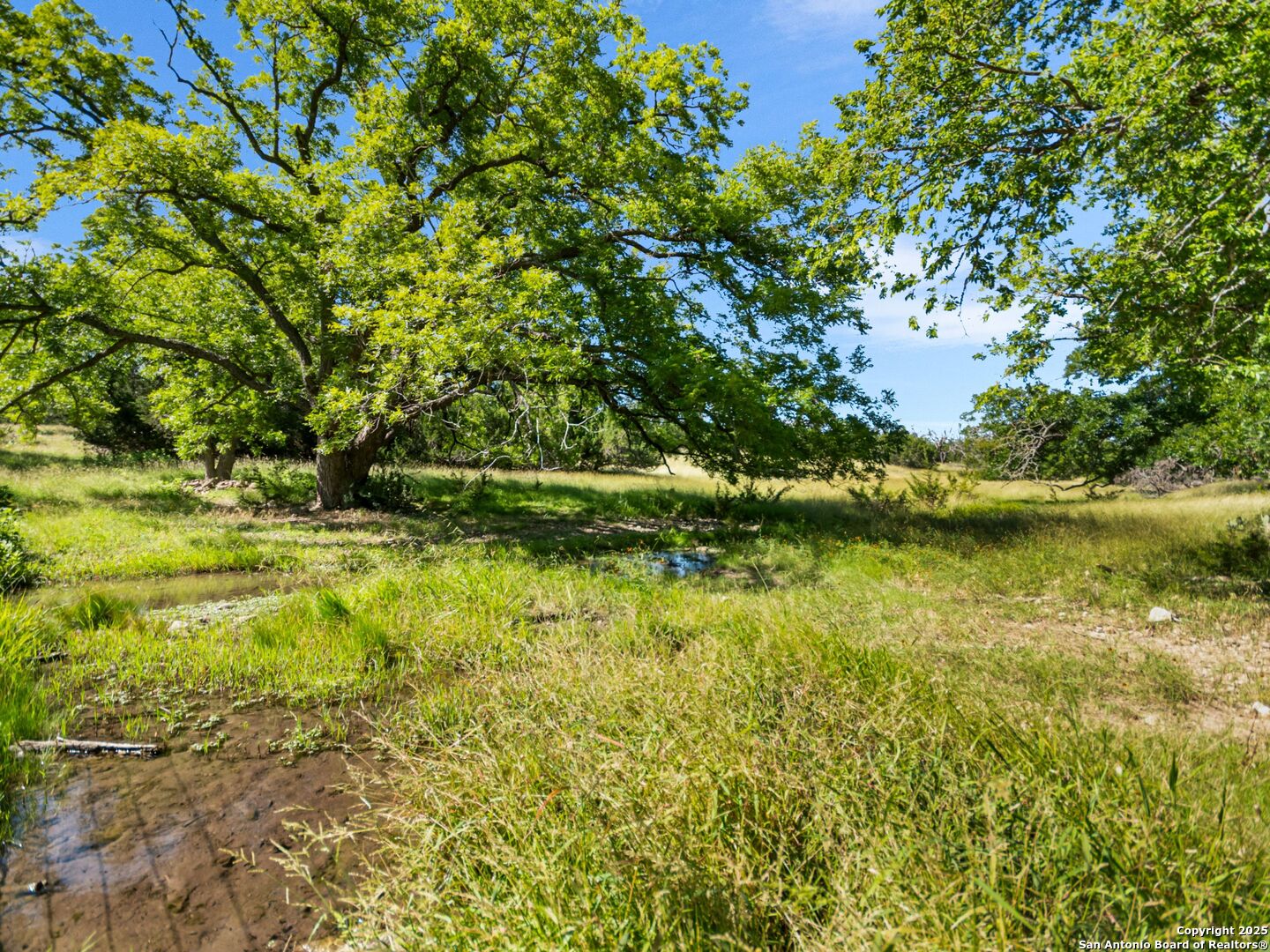 4369 Reeh-Weinheimer Road Fredericksburg, TX 78624 - Photo 67 of 80