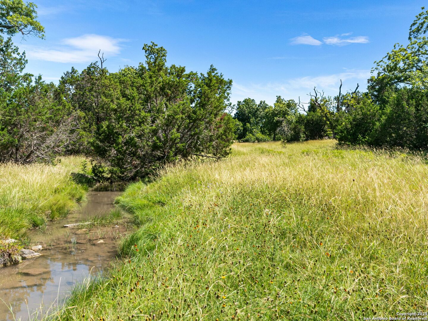 4369 Reeh-Weinheimer Road Fredericksburg, TX 78624 - Photo 68 of 80
