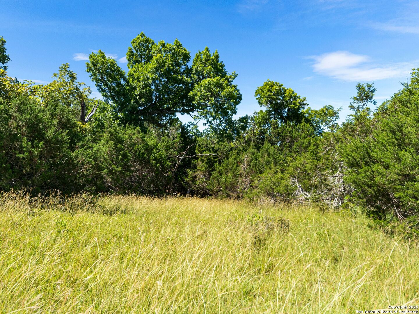 4369 Reeh-Weinheimer Road Fredericksburg, TX 78624 - Photo 70 of 80