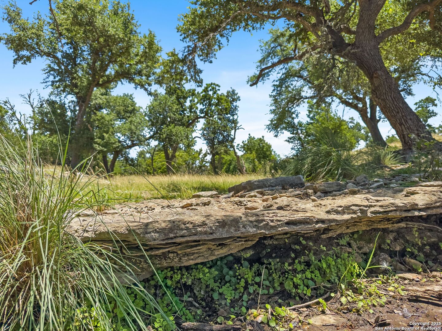 4369 Reeh-Weinheimer Road Fredericksburg, TX 78624 - Photo 74 of 80