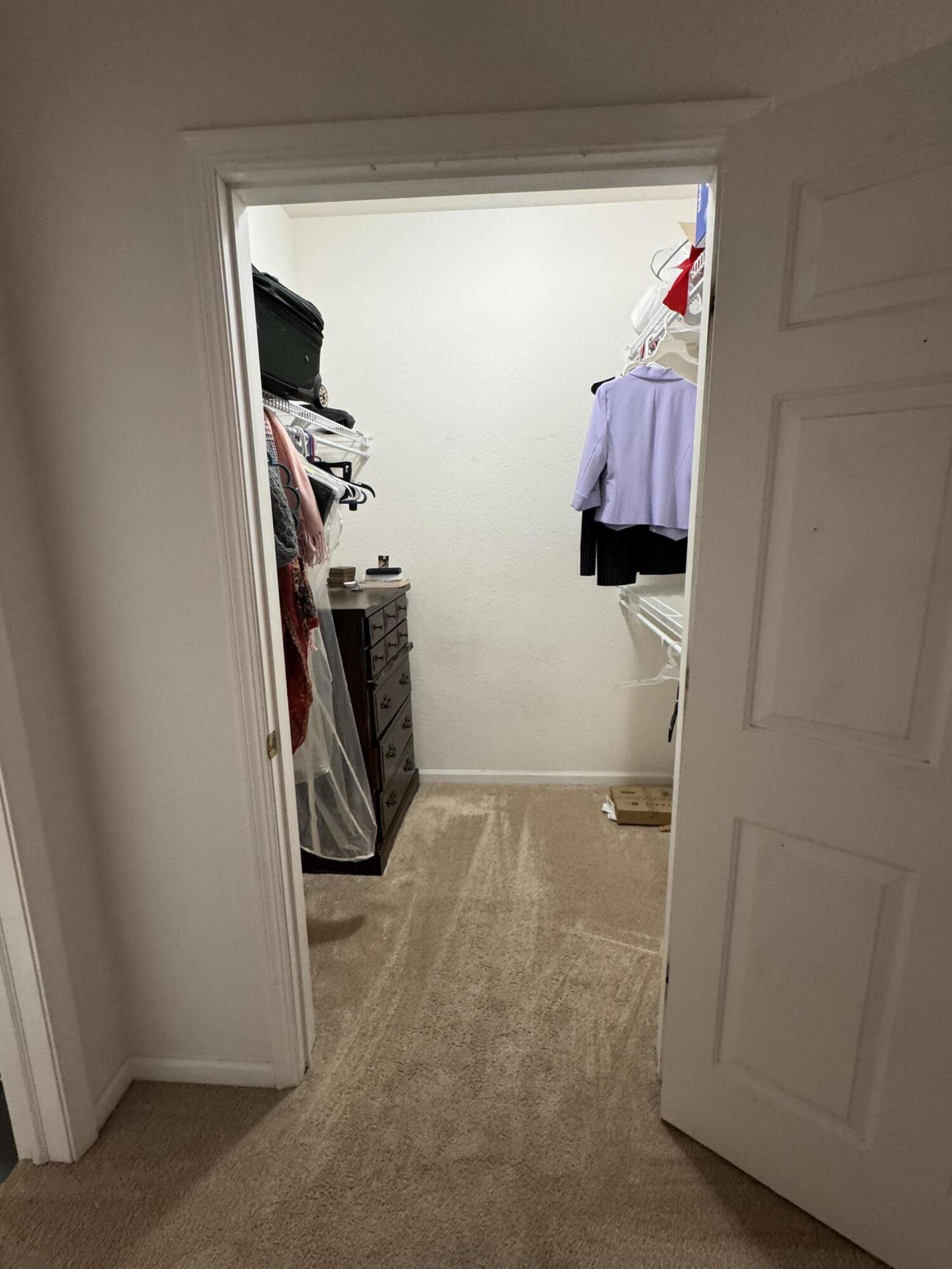 13060 West Bluemound Road, Unit 208 Elm Grove, WI 53122 - Photo 6 of 8 walk in closet