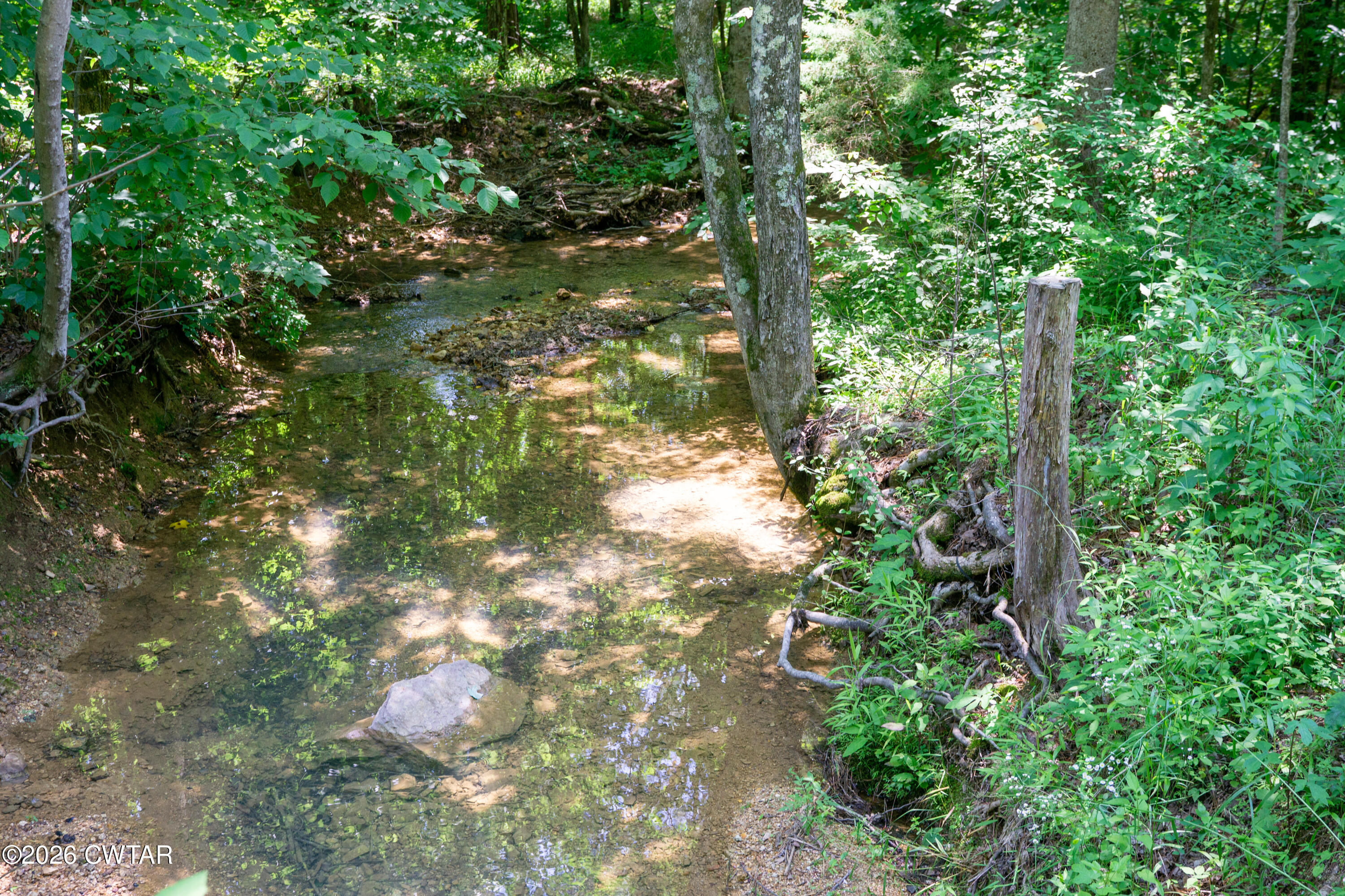 0 Walter Mills Road Sugar Tree, TN 38380 - Photo 11 of 15 _DSC2557