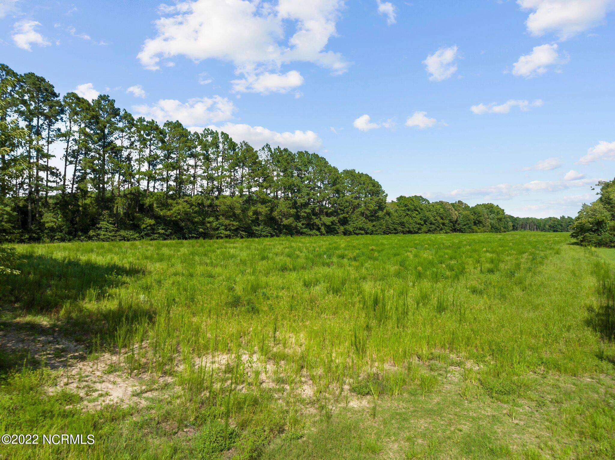 1212 (neil Sinclair) Road Raeford, NC 28376 - Photo 3 of 13 web_DJI_0340