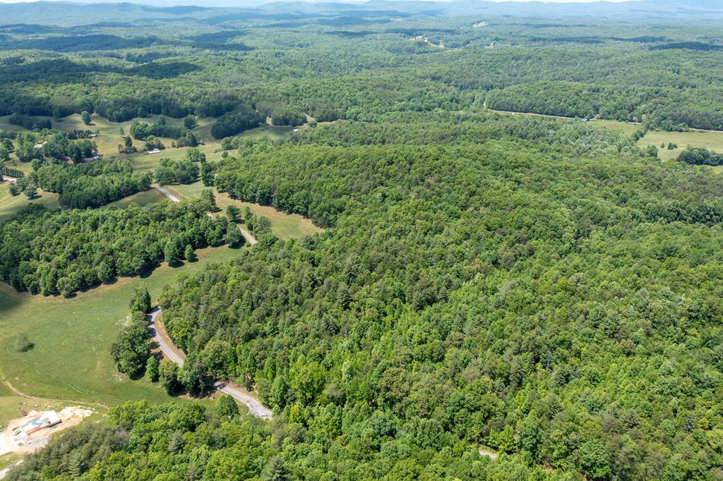 4.2-acre Donley Road Murphy, NC 28906 - Photo 24 of 32 a view of a lush green forest with lots of trees