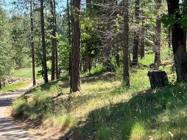 a view of road with trees