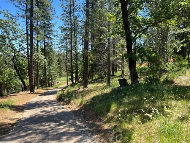 a view of a table and chairs in the garden