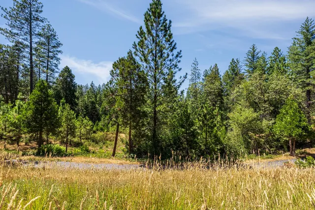 a view of a backyard of the house