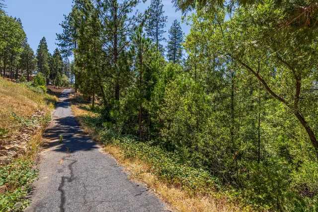 a view of a tree and a park