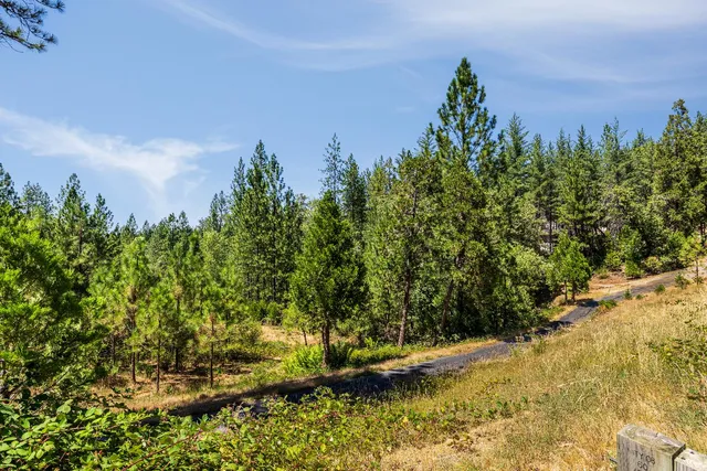 an aerial view of a house with a yard and garden